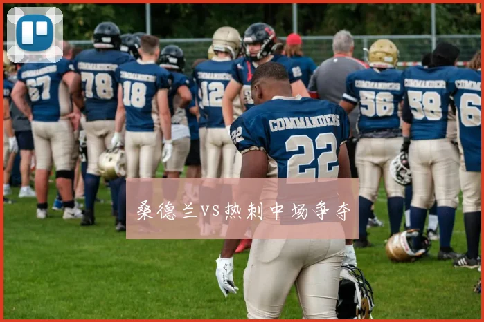 桑德兰vs热刺中场争夺