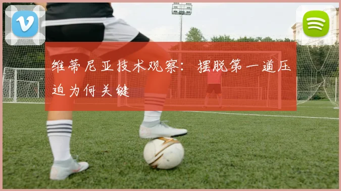 维蒂尼亚技术观察:摆脱第一道压迫为何关键